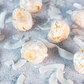 Pizzicotti coconut soft almond cookies with coconut flakes