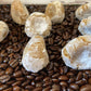 Pizzicotti: soft almond-coffee cookies sitting on coffee beans